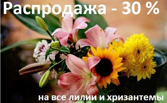 ХРИЗАНТЕМЫ